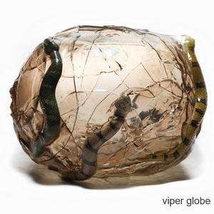  vipera globe vase by the campanas