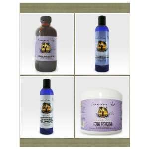  Jamaican Black Castor Oil Lavender Kit Beauty