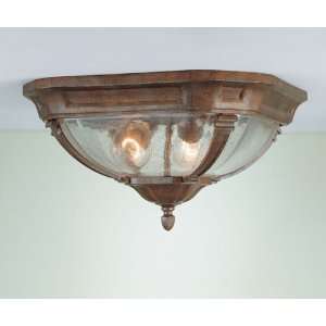  Taverna 2 light 8.25 inch Outside Ceiling Light in British 