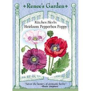  Poppy   Heirloom Pepperbox Seeds Patio, Lawn & Garden