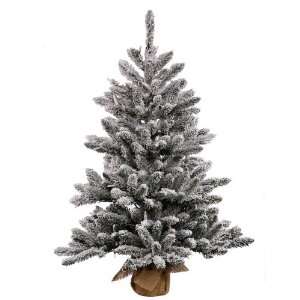 Vickerman 22251   24 Flocked Anoka 35 Clear Lights Christmas Tree 