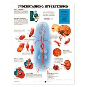 Understanding Hypertension Chart  Industrial & Scientific