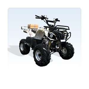  ATV 125cc Economy Automatic