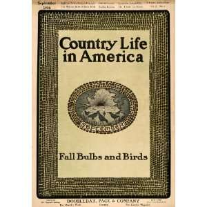  1906 Cover Sept. Country Life American Fall Bulbs Birds 