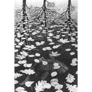   Reproduction   Maurits Cornelis Escher   32 x 46 inches   Three Worlds