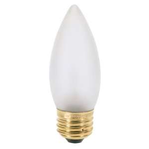  60 Watt Frosted Torpedo Standard Base Light Bulb