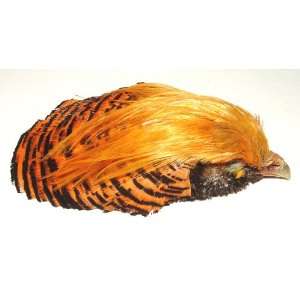  Red Golden Pheasant Head Feathers (Whole Head & Neck 