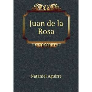  Juan de la Rosa Nataniel Aguirre Books