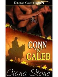 cougar amber skyze nook book $ 4 64 buy now