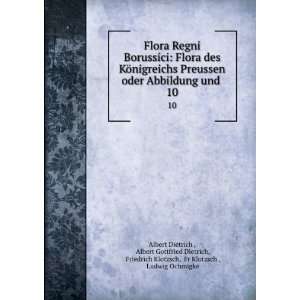   Klotzsch, Fr Klotzsch , Ludwig Ochmigke Albert Dietrich  Books