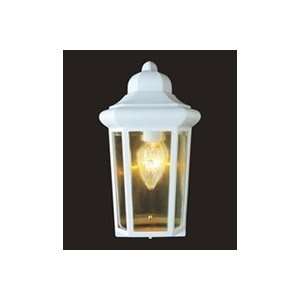  4483   Trans Globe Wall Sconce   Exterior Sconces
