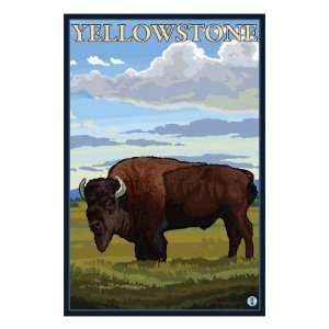  Bison Scene, Yellowstone National Park Giclee Poster Print 