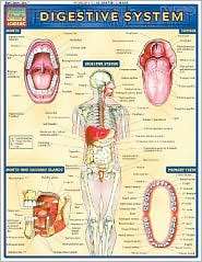 Digestive System, (1572225254), BarCharts, Textbooks   