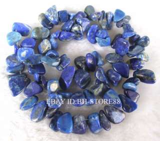 11 15mm Natural Lapis Lazuli Chips Flat Beads 15