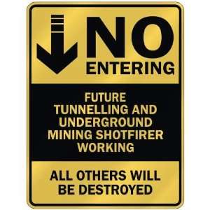   NO ENTERING FUTURE TUNNELLING AND UNDERGROUND MINING 