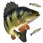 yellow perch large size decals stickers right facing gi $ 13 95 time 