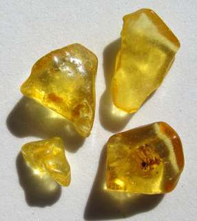 Amber Baltic Fossil Sap Specimen Polished Mineral Gemstones Crystal 