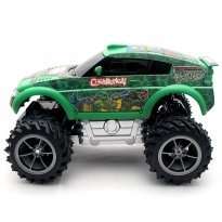 Christmas Present Teenage Mutant Ninja Turtle Rally Car R/C Radio 