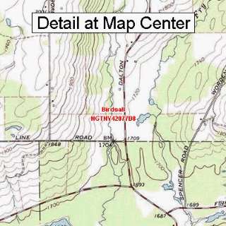  USGS Topographic Quadrangle Map   Birdsall, New York 