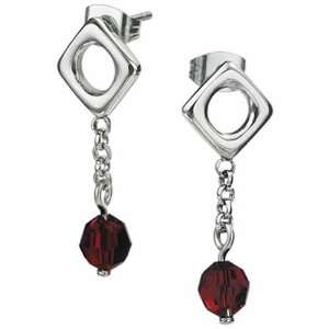  AAB Style ESLD 18 Gorgeous Stainless Steel Earrings with 