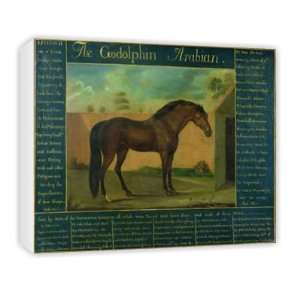  The Godolphin Arabian (oil on canvas) by D   Canvas 