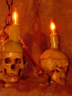 Skull Chandelier, Halloween Prop, Human Skeleton Skulls  