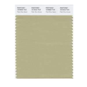  PANTONE SMART 15 0522X Color Swatch Card, Pale Olive Green 