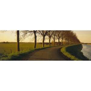 Winding Road, Trees, Oudendijk, Netherlands by Panoramic Images 