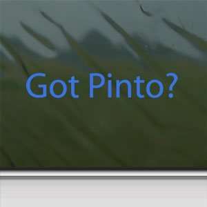  Got Pinto? Blue Decal Horse Breed Pony Window Blue Sticker 
