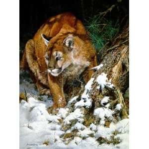  John Seerey Lester   Winter Lookout   Cougar