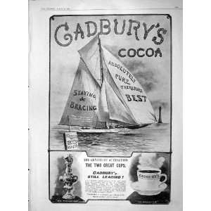 1903 ADVERTISEMENT CADBURYS COCOA DRINKING CHOCOLATE 