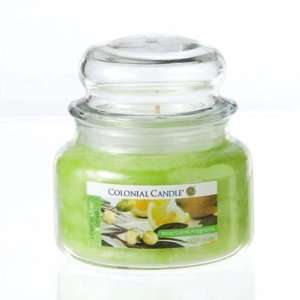  Colonial Candle Lemon Leaf and Olive 10 oz Traditions Jar 