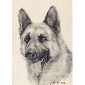  Rin Tin Tin Portrait Charcoal Drawing Matted 16 X 20 