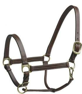 WALSH Triple Stitched Leather Halter   CHESTNUT   All Sizes  