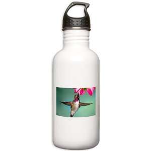   Stainless Water Bottle 1.0L Male Calliope Hummingbird 