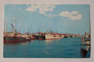 Fishing Boats Ottens Harbor? Wildwood NJ Cape May Co  