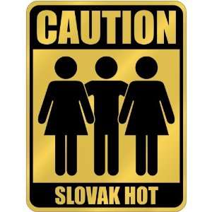   Caution  Slovak Hot  Slovakia Parking Sign Country