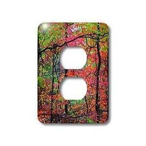  Lee Hiller Designs Painted Forests   Painted Forests Neon 