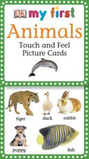   MY First Touch and Feel Picture Cards Colors and 