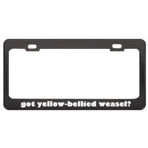 Got Yellow Bellied Weasel? Animals Pets Black Metal License Plate 