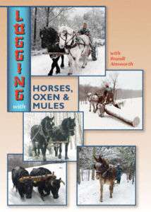 DVD Logging With Horses, Oxen & Mules Brandt Ainsworth  