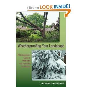  Weatherproofing Your Landscape A Homeowners Guide to 