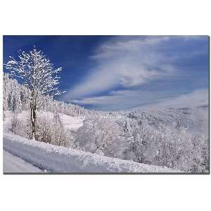  Philippe Sainte Laudy  White White World 