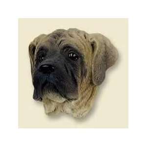 Mastiff Doogie Head 