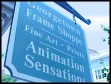 animation sensations washington d c