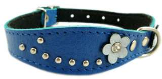   studs make collar look really cute trimmed with thick waxed thread and