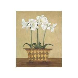  Amaryllis In Vase    Print