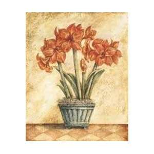  Red Amaryllis Poster Print