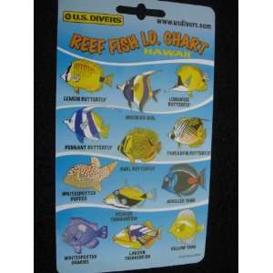 Reef Fish ID Chart  Hawaii 