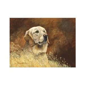  Golden Labrador by Richard Britton, 20x16